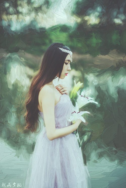 Madonna Lily