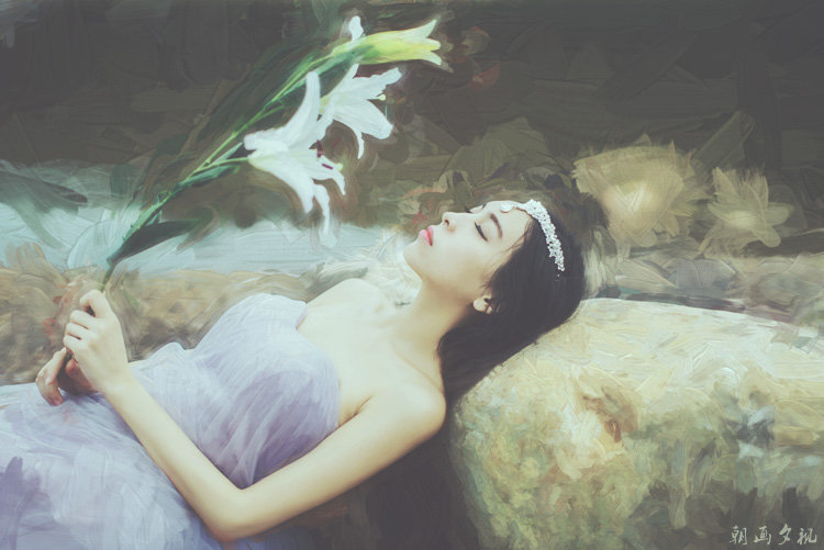 Madonna Lily