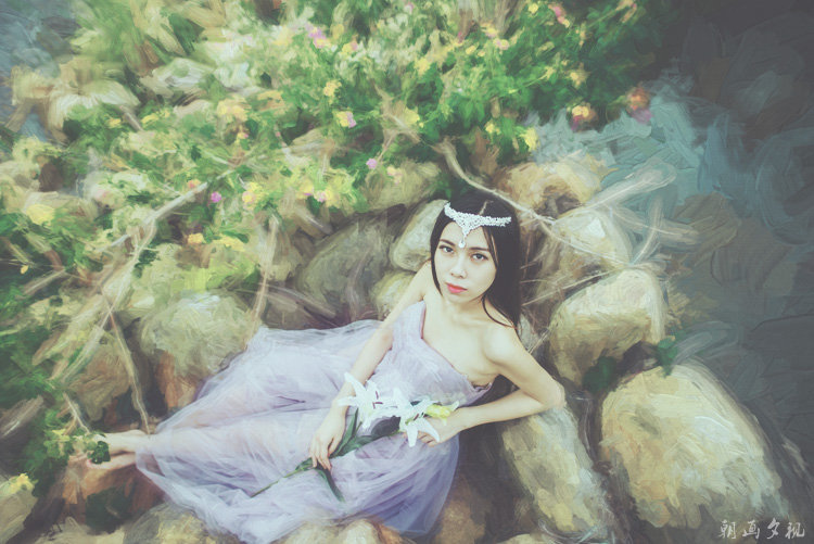 Madonna Lily