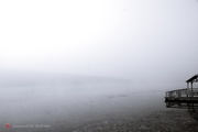浓雾中的天鹅湖