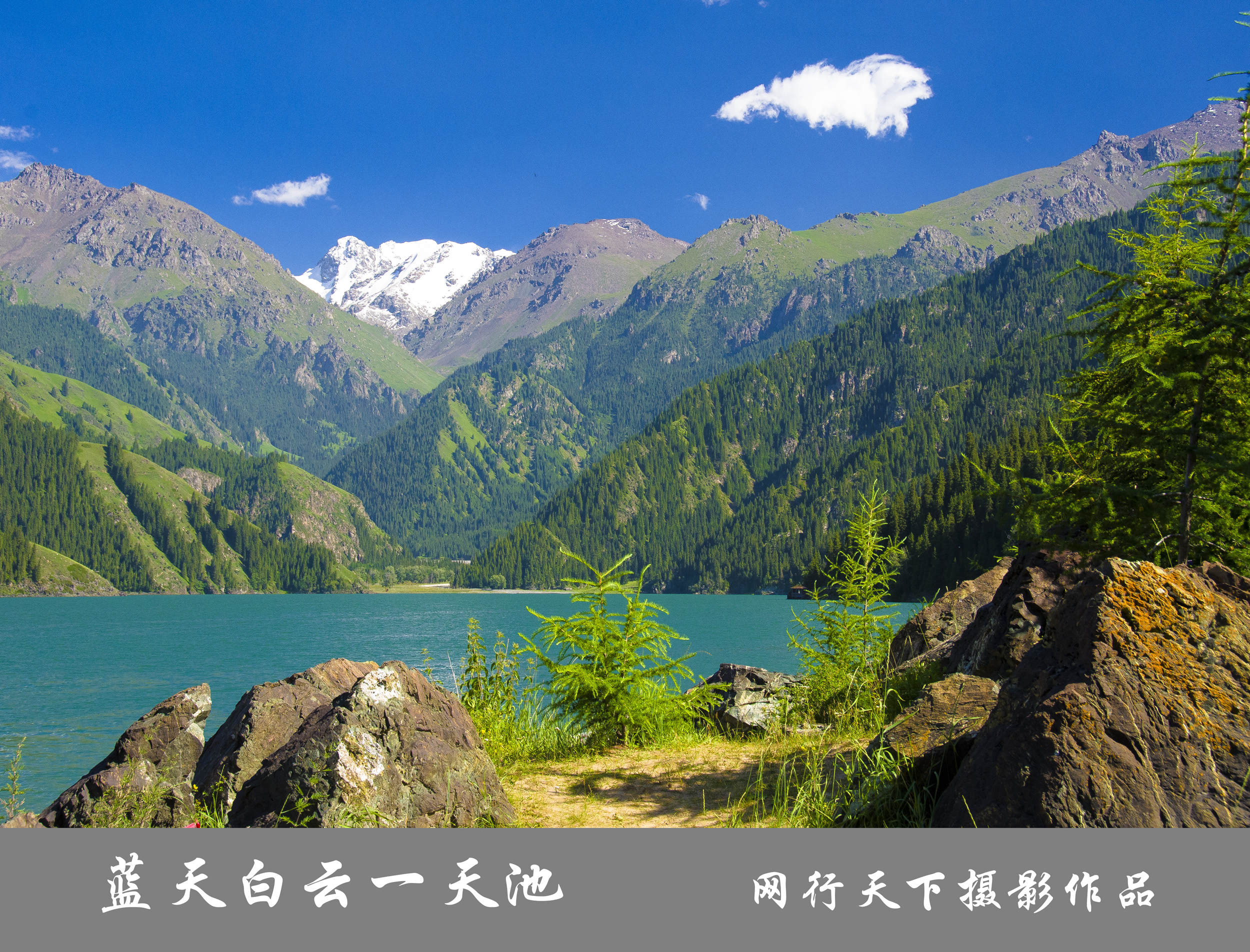 【蓝天白云一天池摄影图片】新疆天山天池风光摄影