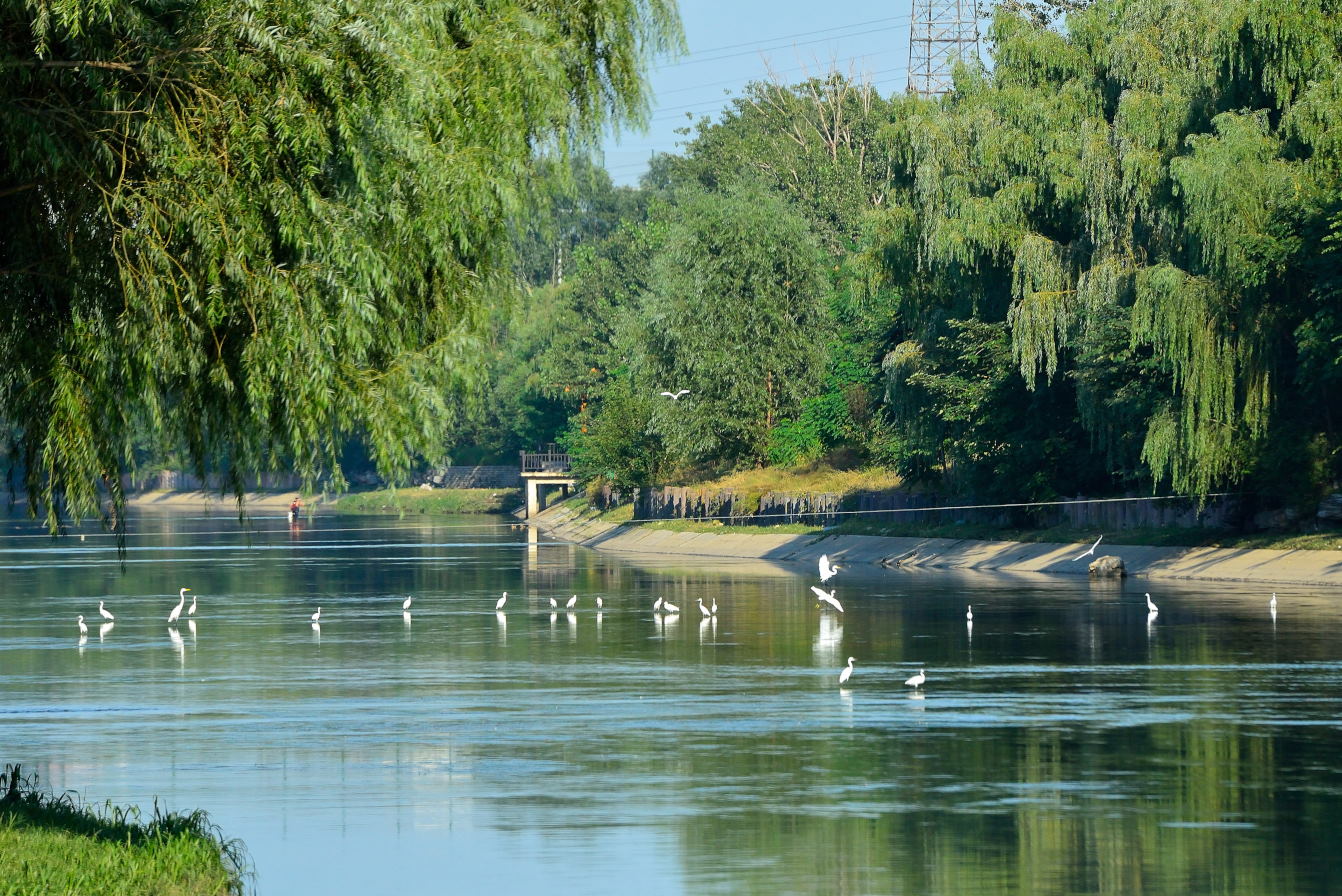 北京清河