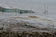 浦口网海鲜