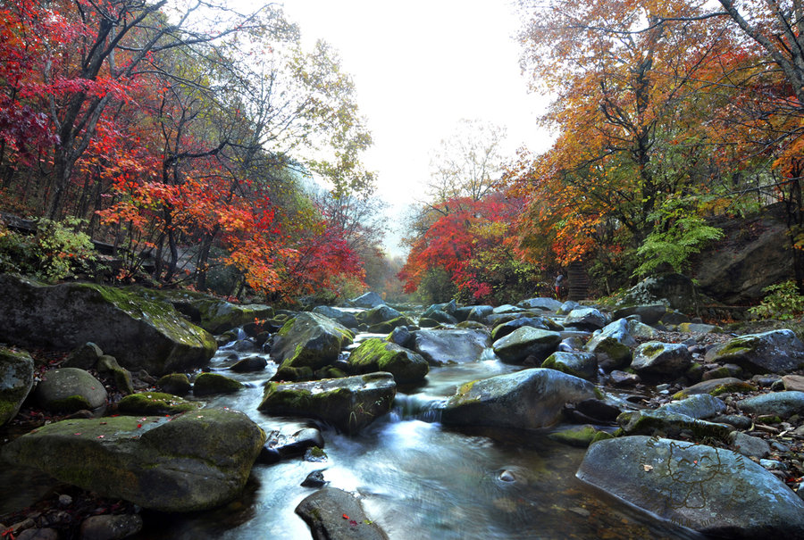 本溪老邊溝,大地森林公園的紅葉