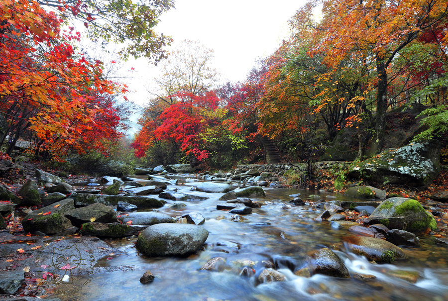 本溪老邊溝,大地森林公園的紅葉