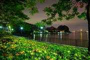 肇庆·星湖夜色