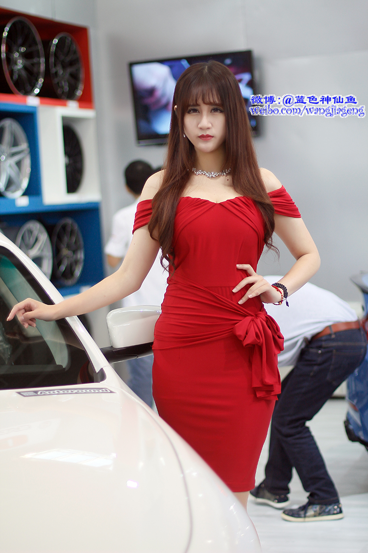 2015μChina Auto Salonװչ-2