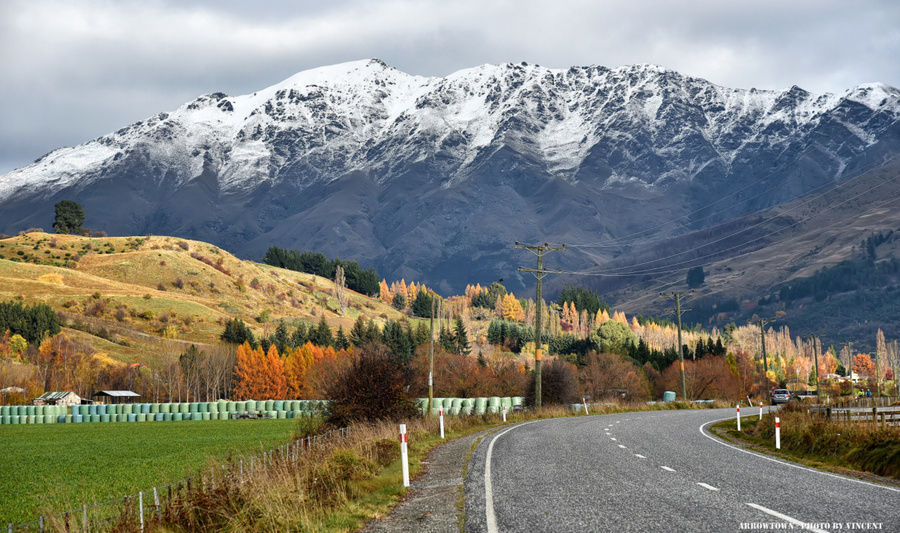 New Zealand- ֮