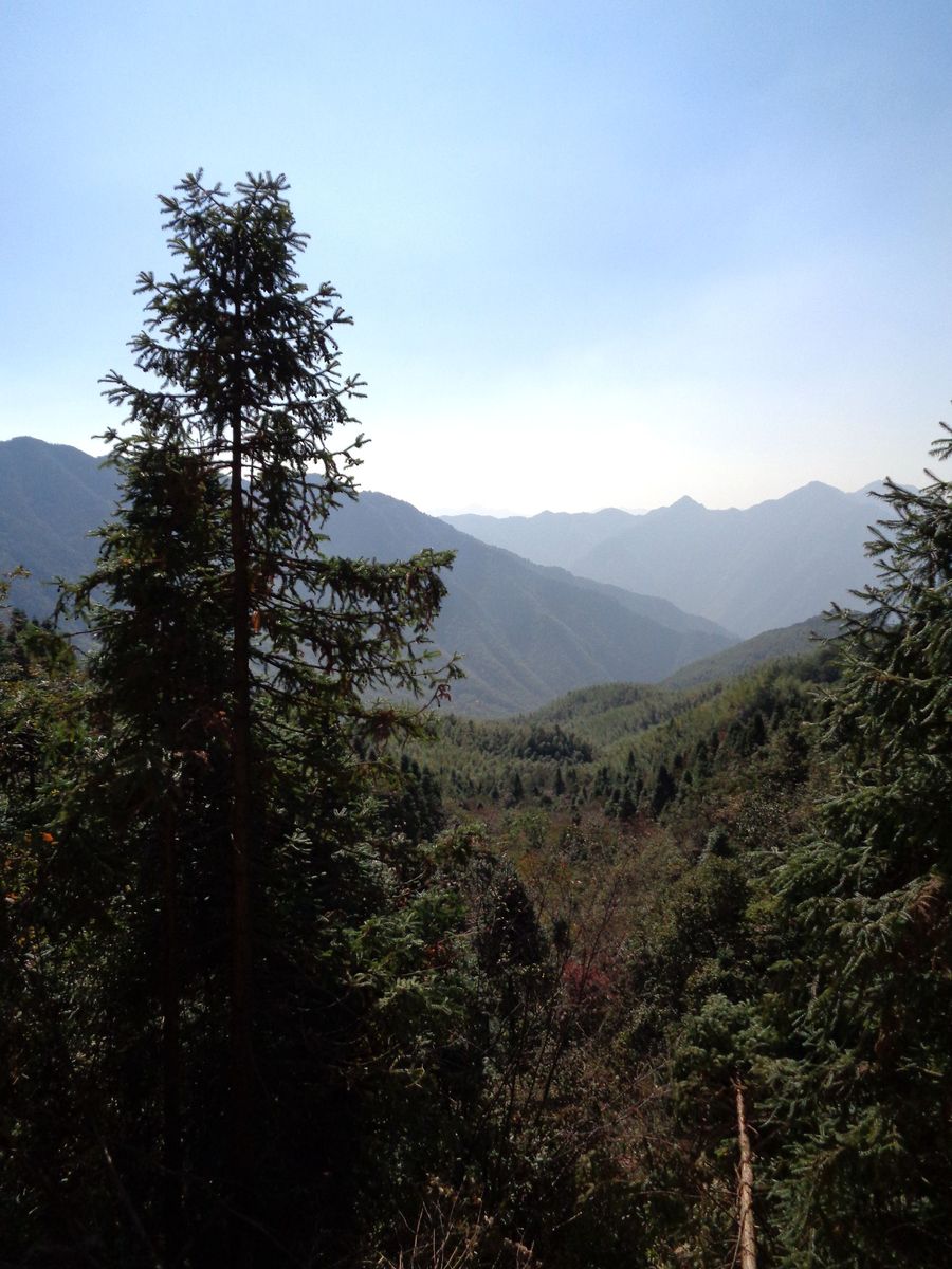 九岭山国家森林公园图片