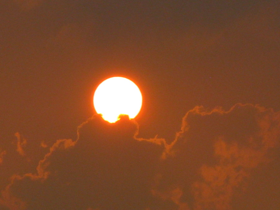 ˮī