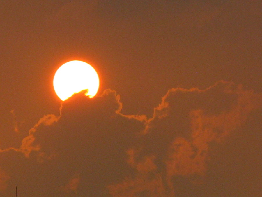 ˮī
