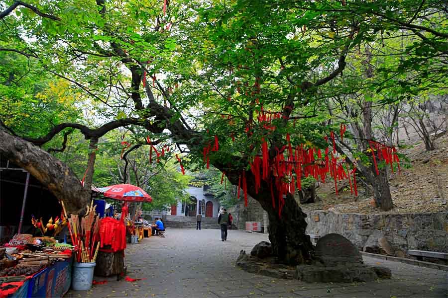 枣庄青檀寺图片