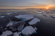北冰洋上的浮冰块