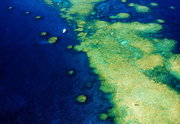 大堡礁—澳洲自由行