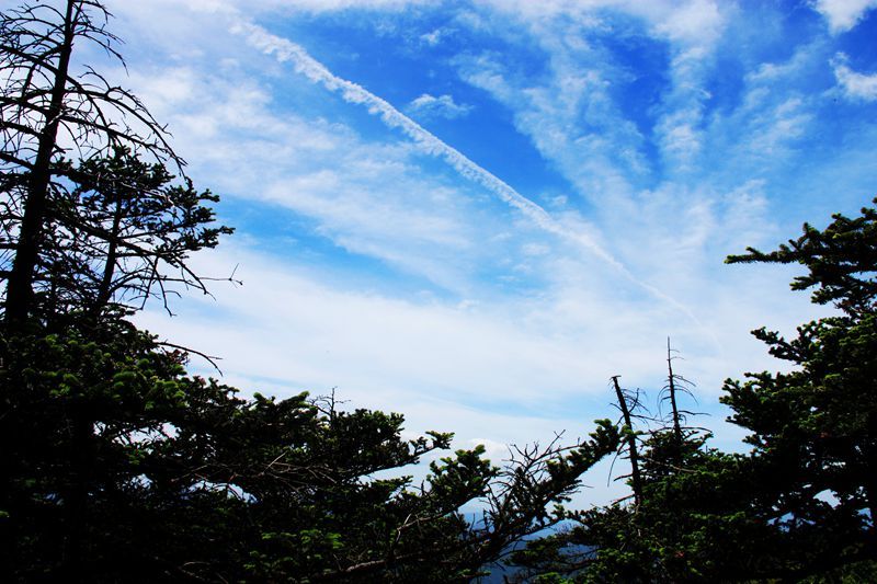 天華山,秦嶺梁,東梁,南梁穿越. (13/70)