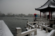 大明湖冬雪