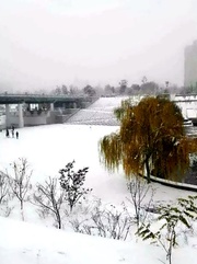 北京的雪