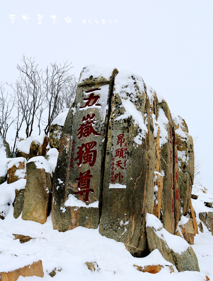 泰山雪景图片图片