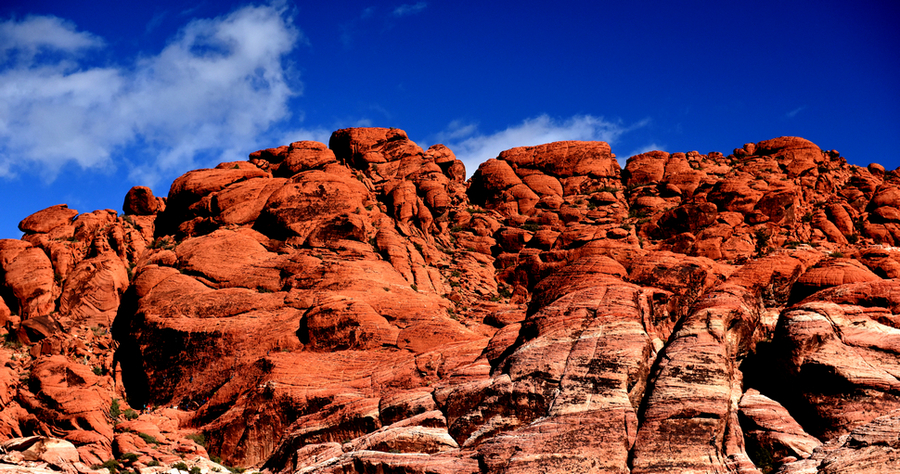 Red rock canyon