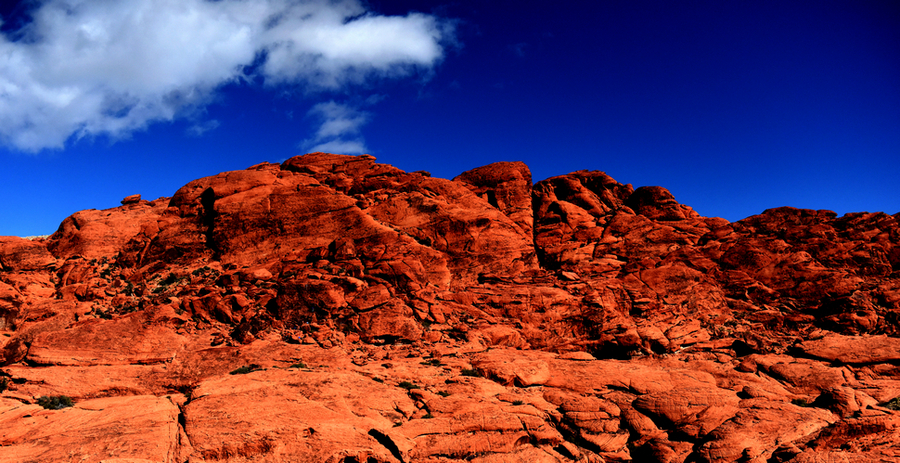 Red rock canyon