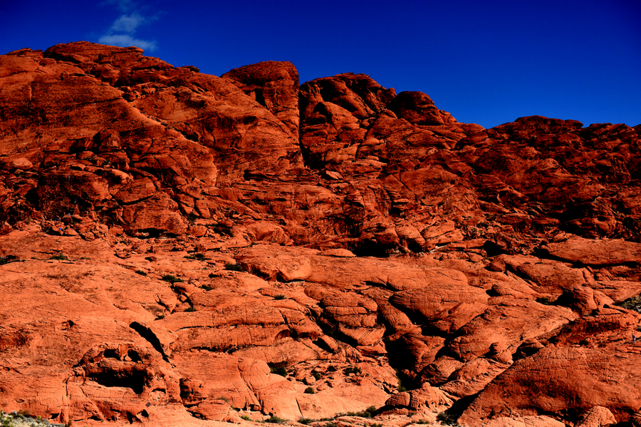 Red rock canyon