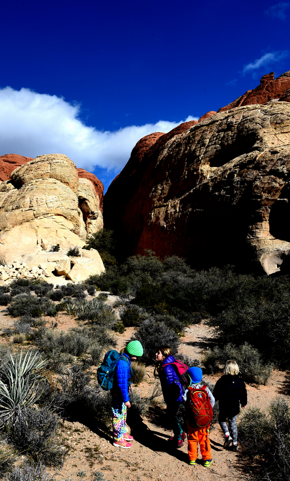 Red rock canyon