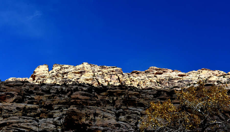 Red rock canyon