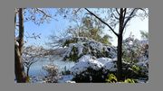 雪后小景