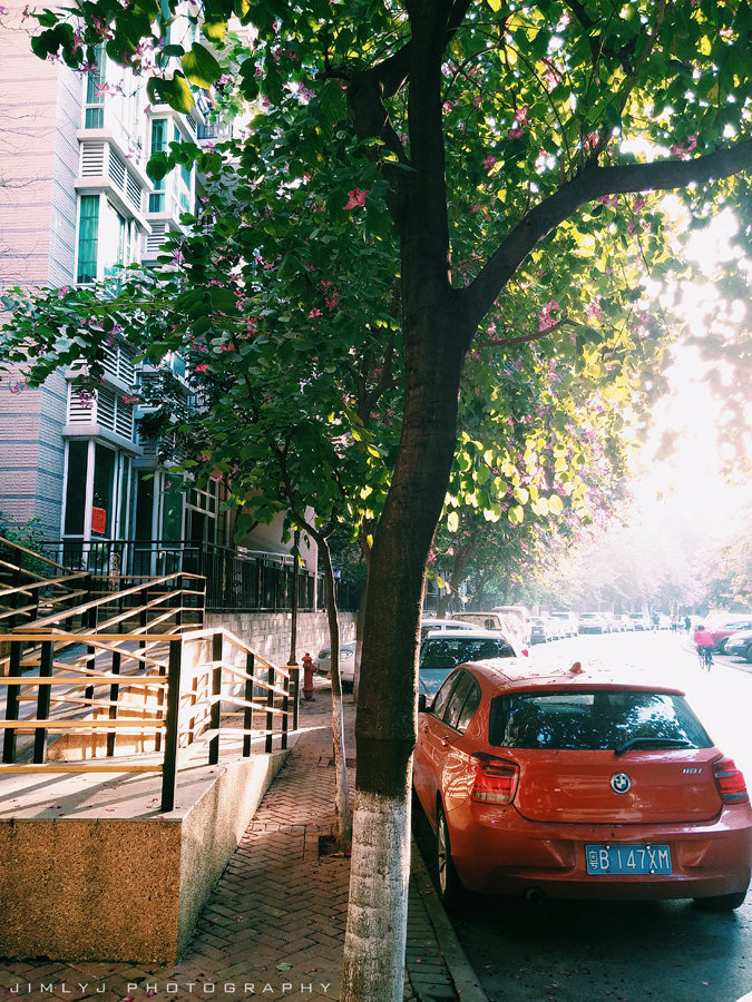 ֻķ羰-08
