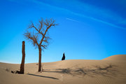 寂寞沙漠