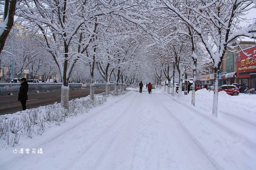 雪後景色