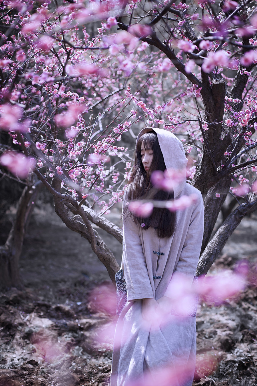 лҾͷǣع2015Ĺӣ