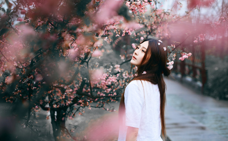 лҾͷǣع2015Ĺӣ
