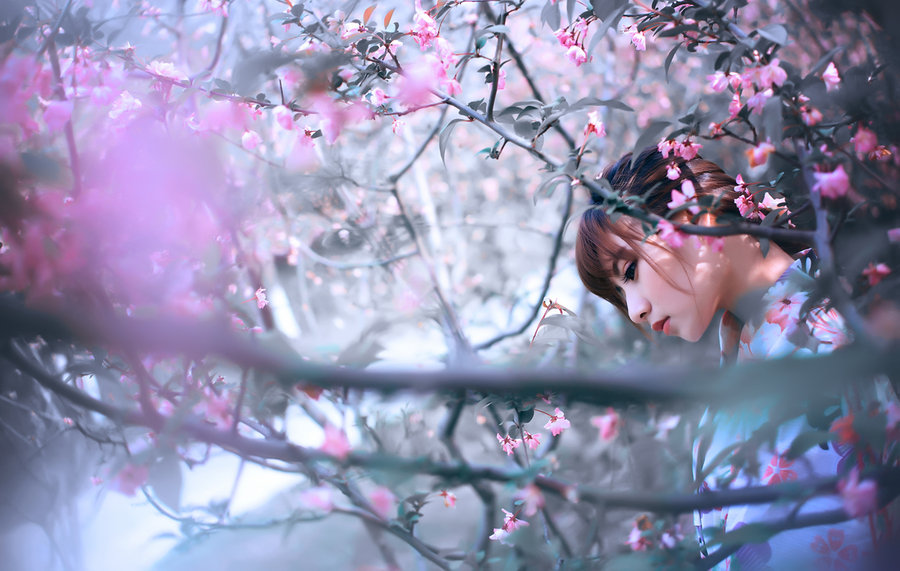 лҾͷǣع2015Ĺӣ