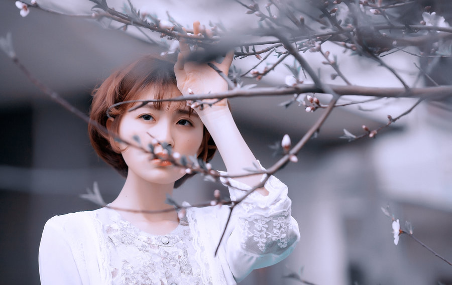 лҾͷǣع2015Ĺӣ