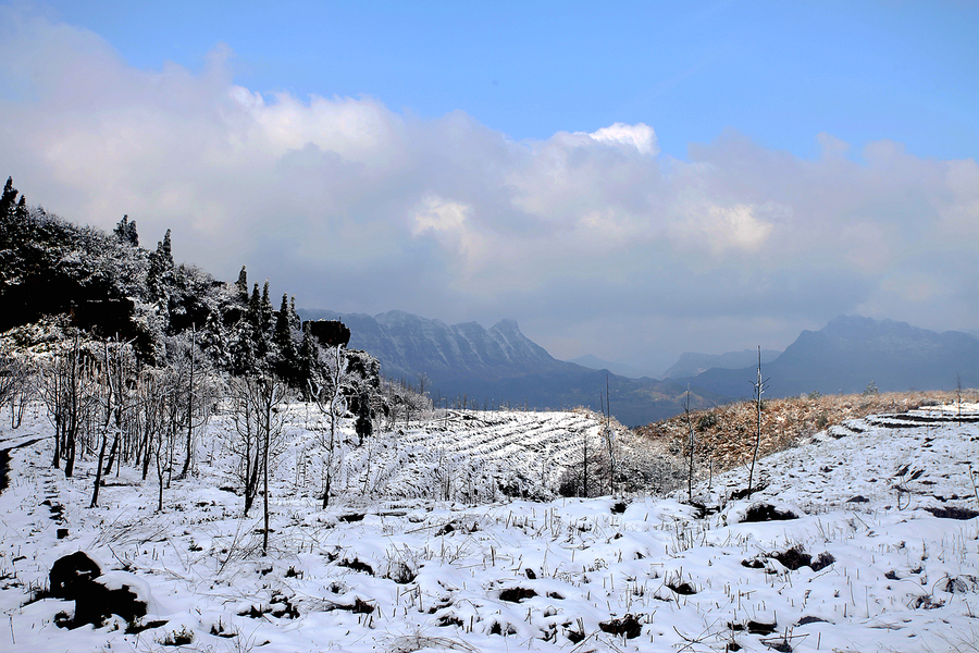 山王坪雪景图片