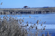 南湖湿地公园冬景