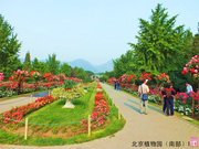 北京植物园1