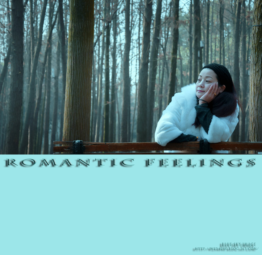 Romantic feelings