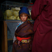 藏人印象