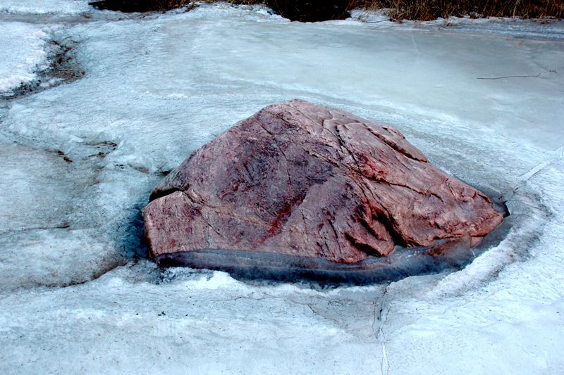 ԴϿ
