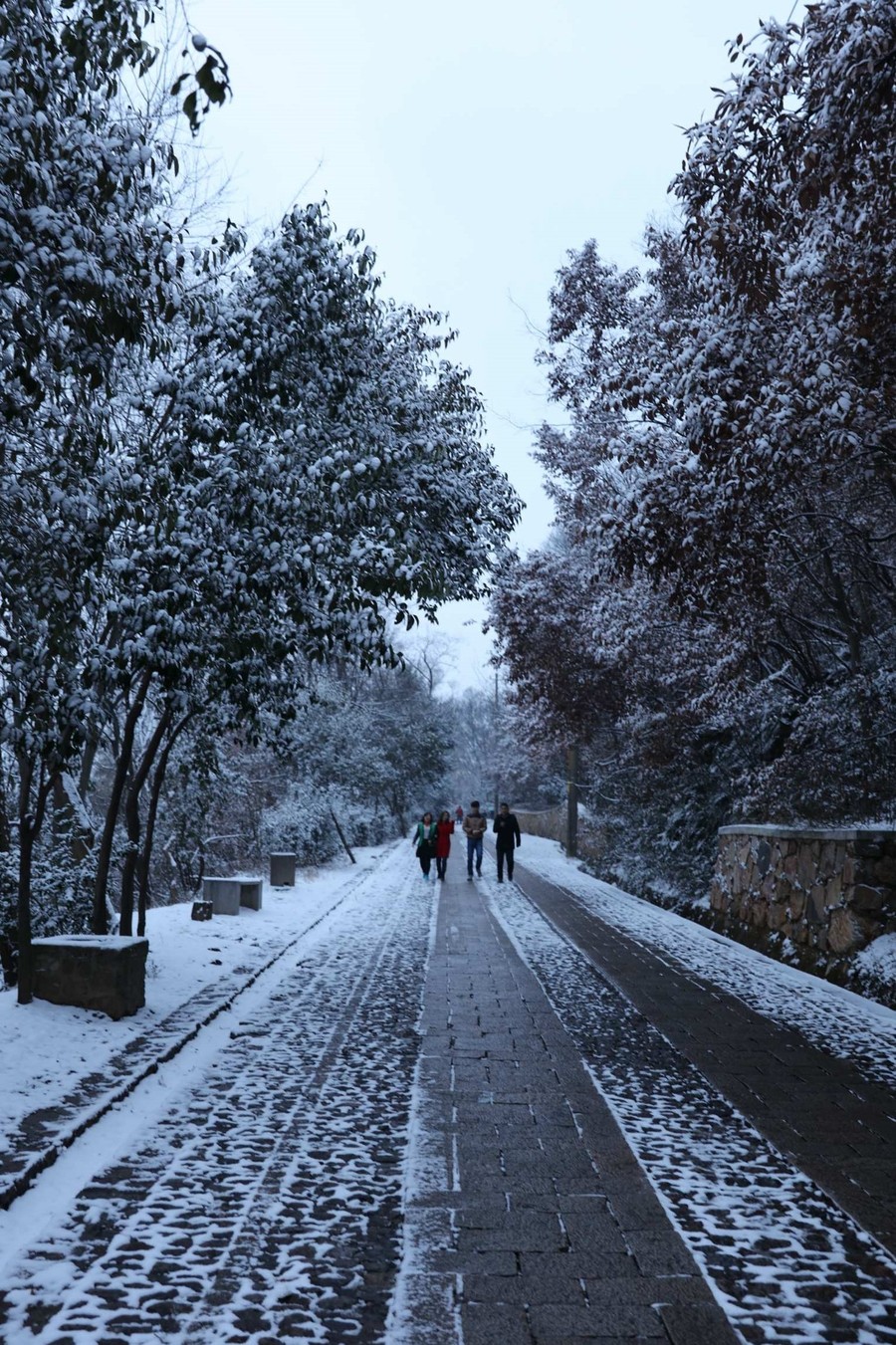 雪景真实照片图片