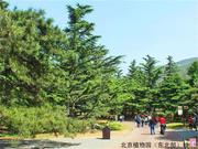 北京植物园6