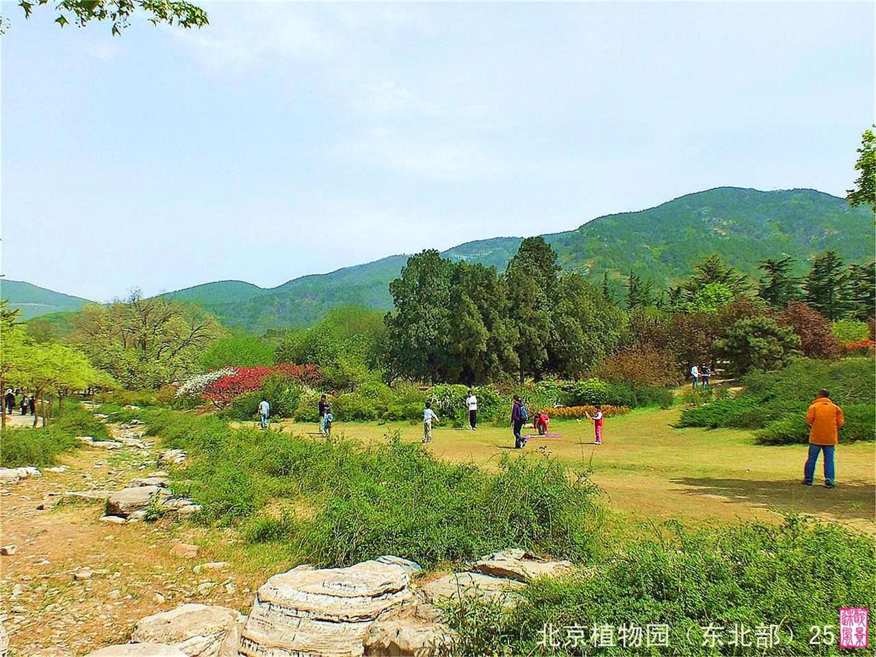 北京植物園6