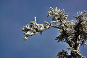 天门山的雪