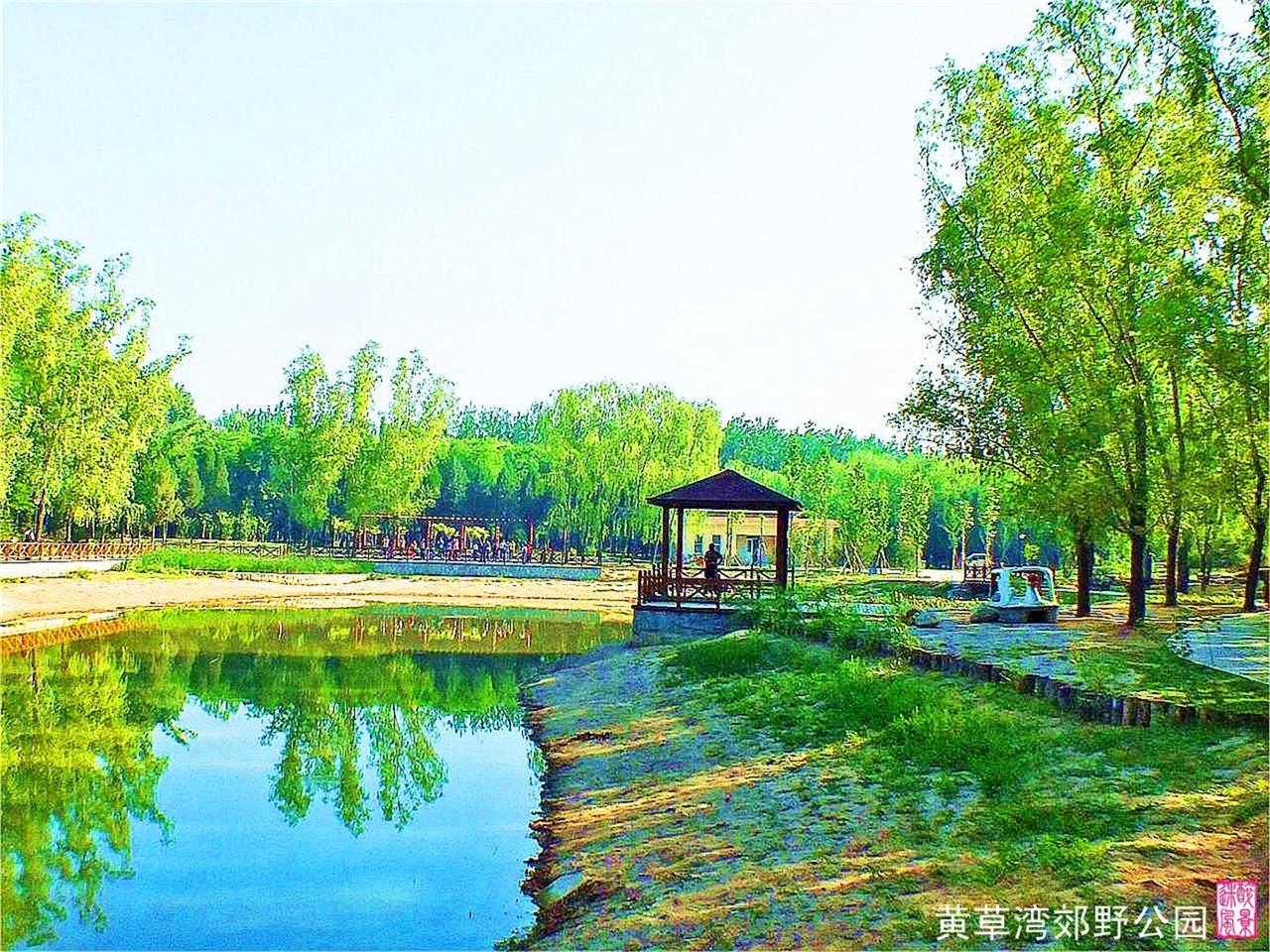 【北京的北郊19摄影图片】黄草湾郊野公园风光摄影