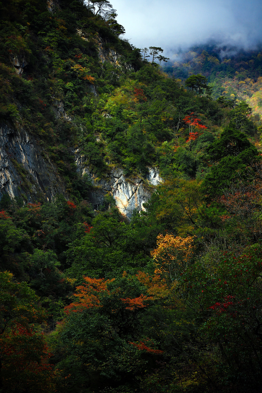 東拉山大峽谷