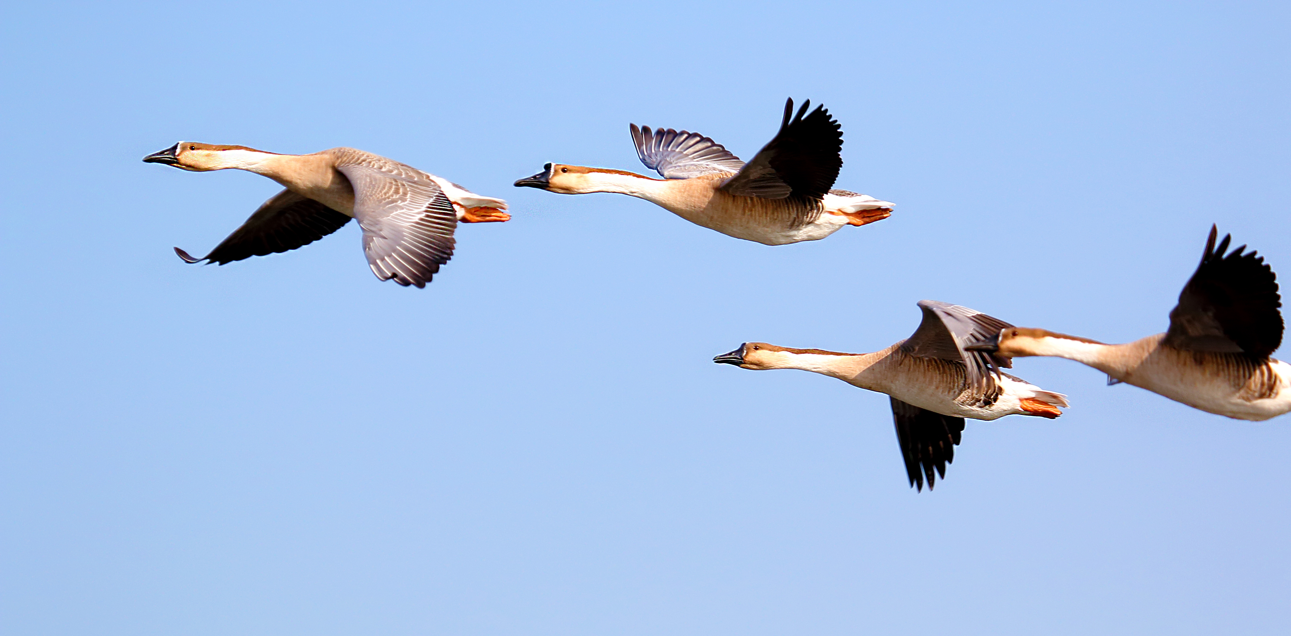 原图欣赏-太平洋摄影部落