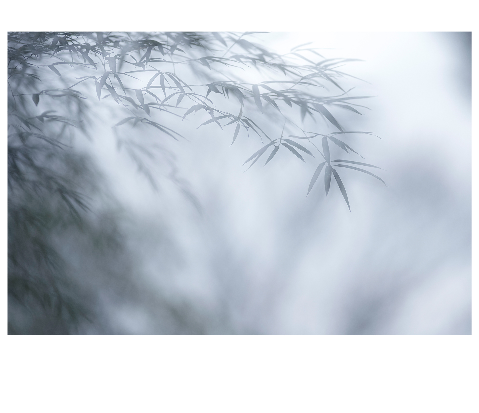 原图欣赏太平洋摄影部落