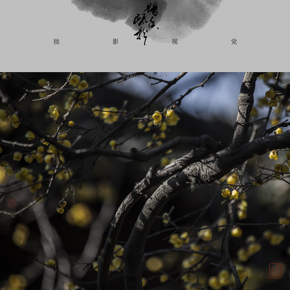 暗香疏影
